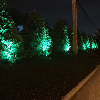 luces LED de jardín / punto de jardín