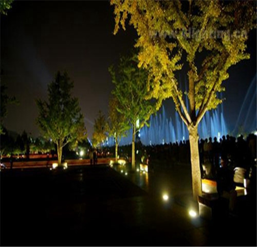 La iluminación al aire libre del jardín del acero inoxidable 316 llevó luces interiores del árbol